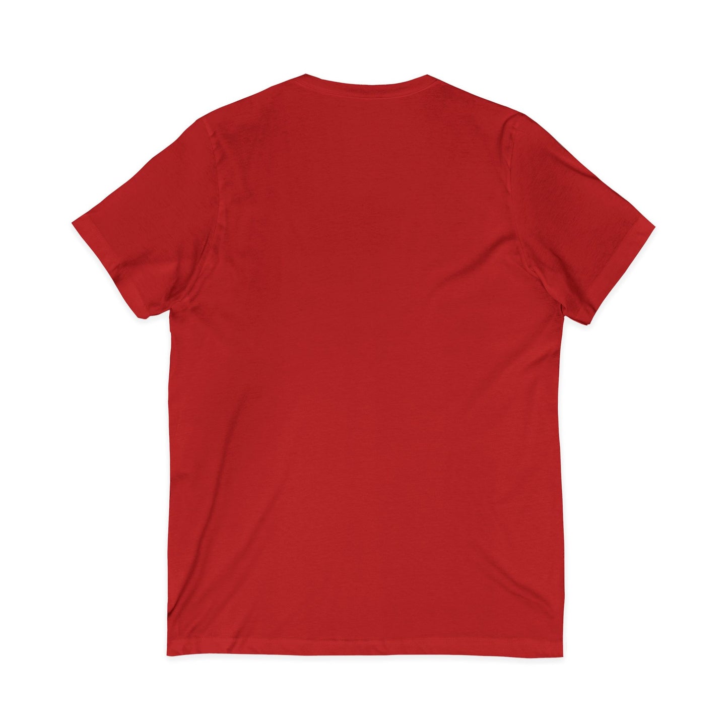 Men's 'Block LyL' V-Neck T-Shirt